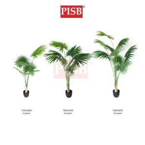 S2073/74/75 California Fan Palm Tree 120/160/180CM 6/8/10 Leaves