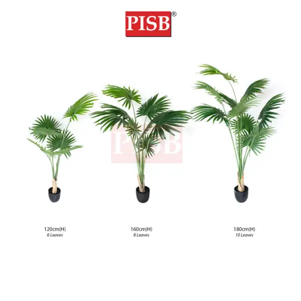 S2073/74/75 California Fan Palm Tree 120/160/180CM 6/8/10 Leaves