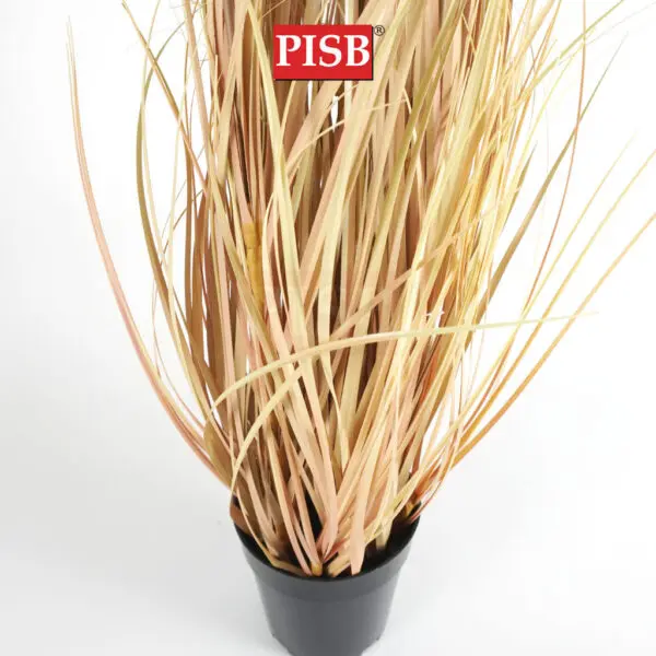 26f2f2c3f1d13c73f5ea33eb90eb0340-1.jpeg 2117/18/19/20 Natural Dried Blush Pampas Grass In Pot