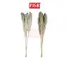 278a1a6743cab5ff12ad55cc1d8852bb-1.jpeg 2172 130CM Natural Dried Pampas Grass (5pcs/Pkt)