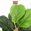 S2019/20/21/22/49/50/T190381/82/83 Fiddle Fig Tree / Variegated Fiddle Fig Tree