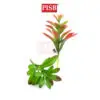 HH2119 16CM Artificial Succulent Stalk / Fake Leaves / Daun Sukulen Tiruan / Home Decoration & Wedding