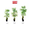 412df86a0ec3d1ca027a75cd3a0cea46-1.jpeg S2058/59/60 Fern Tree 120/140/160CM 54/75/96 Leaves