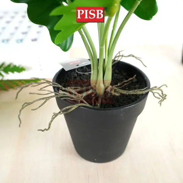 6b74c6b192f9bcc6dfd42fd5d5d2928e-1.jpeg 3048-57 Mini Plant/Artificial Plant/Mini Bonsai/Artificial Tree/Pokok Hiasan Viral/Pokok Monstera/Home Decor Plant