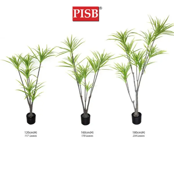 S2046/47/48 Dracaena Dragon Tree 120/160/180CM 117/170/234 Leaves