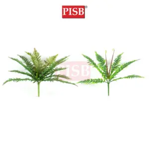 HH2112/13 35/38CM  9/12 Heads Boston Leaf