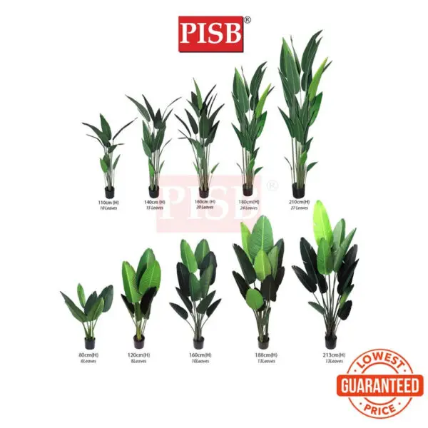 9a41549e8796bda17e3a5a9bfda9c3a0.jpeg *READY STOK* Premium Skybird Tree Banana Tree Red Skybird Variegated Maranta Plant Pokok Hiasan Viral Artificial Plant