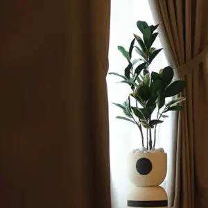 Print *READY STOK* Premium Skybird Tree Banana Tree Red Skybird Variegated Maranta Plant Pokok Hiasan Viral Artificial Plant