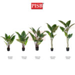S2067/68/69/70/71 Taro Tree 80/110/140/160/180CM 8/11/14 Leaves