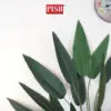 ceab76a4705fa0db08647da20c88b666.jpeg *READY STOK* Premium Skybird Tree Banana Tree Red Skybird Variegated Maranta Plant Pokok Hiasan Viral Artificial Plant