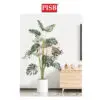 d0c925678f0156c61b9dadc87dde4e8a-1.jpeg 2100-16 100-160CM Variegated White Monstera Deliciosa / Taro Tree