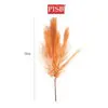 d0d0487df0e5e381a9f228f15cbd63b4-1.jpeg 2215 73CM Natural Dried Palm Pampas Bush