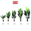 dbbb1d98931636b12c872e23316f8cf3.jpeg *READY STOK* Premium Skybird Tree Banana Tree Red Skybird Variegated Maranta Plant Pokok Hiasan Viral Artificial Plant