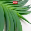 Q010383/84 Vanda Orchid Leaf