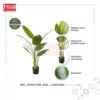 2121-27 3D Premium Skybird Tree Banana Tree Pokok Hiasan Viral Pokok Skybird Pokok Pisang Artificial Plant Home Decor