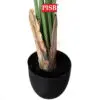 S2073/74/75 California Fan Palm Tree 120/160/180CM 6/8/10 Leaves