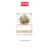f58624bb962c3f00cef92d84b2304e42.jpeg TY2084 Golden Iron Wall Hooks Art Decorative Rack Nordic Bedroom Holder Wall Decoration Clothes Hangers