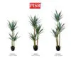 f5987ce99d473a1184773c41a61f4098-1.jpeg S2054/55/56 120/140/160CM Yucca Tree