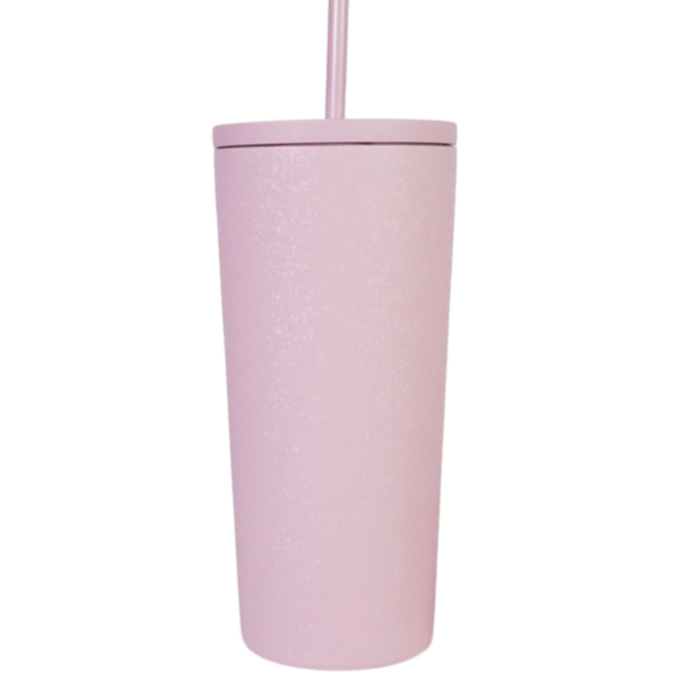 2415 590ML Dual Straw Classic Insulated Tumbler Water Bottle Travel Tumbler Thermos Botol Air Straw Mug