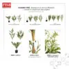 35cc5f53cc3166e1b7544738ad5f1747-1.jpeg 2135/36/37 Assembly Olive Tree Artificial Plant 150/180/210CM