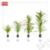 6d35fb62b2984352b7c8deeeab96409a.jpeg 2128-31 Assembly Dracaena Tree Artificial Plant 90/120/150/180CM