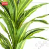 a8d232c8b2d3220bc3866b3a7b6196cb.jpeg 2128-31 Assembly Dracaena Tree Artificial Plant 90/120/150/180CM