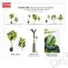 e8fee0e453e3800dbfb0b51fe2fa38b3-1.jpeg 2132-2134 Assembly Fiddle Fig Tree Artificial Plant 150/180/210CM