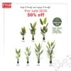 2121-27 3D Premium Skybird Tree Banana Tree Pokok Hiasan Viral Pokok Skybird Pokok Pisang Artificial Plant Home Decor
