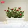 c200cbc280e4f54a246464dcc4c026bf.jpeg 3062 Rose Plants Artificial Tree Pokok Ros 41CM