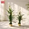 13637c1285feb64cb26e7c66b64f244b.jpeg 0436/37 Iris Plant Artificial Tree Pokok Iris 135/170CM
