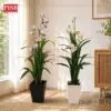 70355be2dc51d406bf47d0fdc723f4a6.jpeg 0436/37 Iris Plant Artificial Tree Pokok Iris 135/170CM