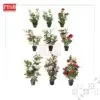 3061/62/67 Rose Plants Artificial Tree Pokok Ros 60/41/90CM