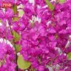 3071 Paper Flower Plant Artificial Tree Pokok Bunga Kertas 150CM